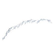 LED-garland SHINE 1m, transparent