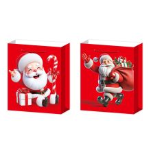 Kinkekott XMAS JOY XXL, 50x72x18cm, mix