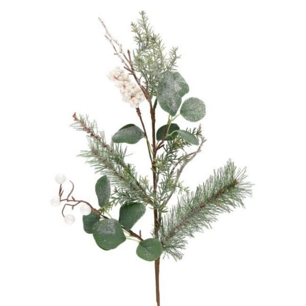 Oks WINTERIA 66cm marjadega