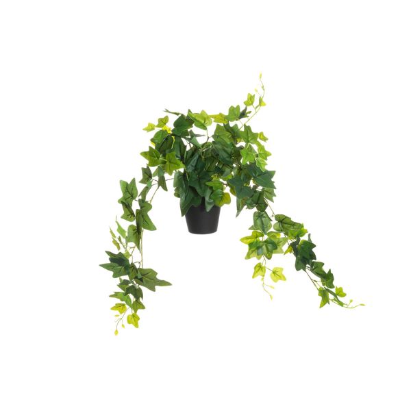 Kunsttaim 4Living HEDERA 80cm, luuderohi potis