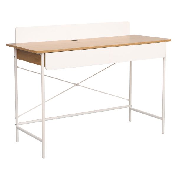 Desk FERDIE 120x48xH88cm, ash/white