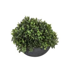 Искусственное растение IN GARDEN, D24xH19см, зелёный, серый горшок