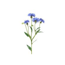 Corn flower, 61,5cm