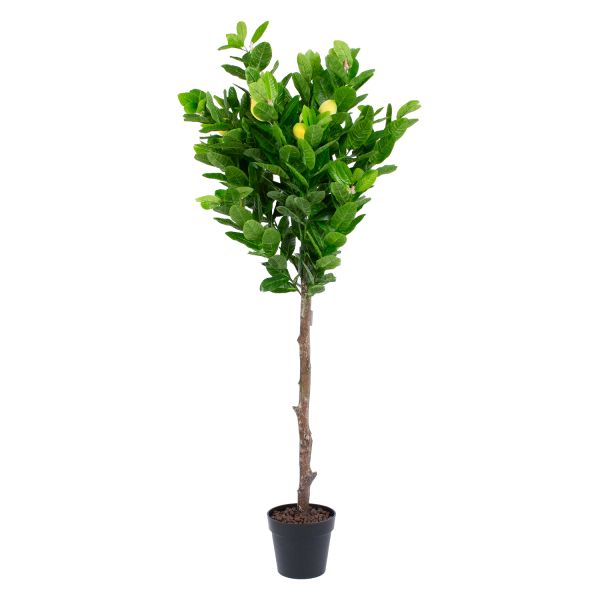Kunstpuu LEMON H145cm