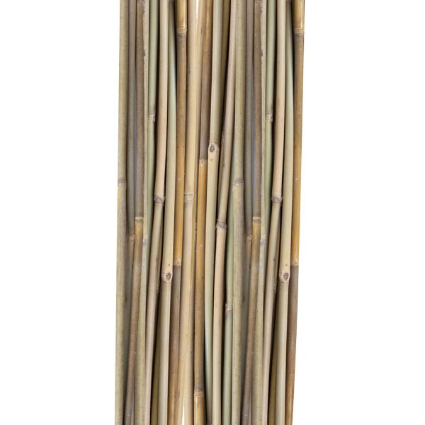 Bamboo canes IN GARDEN H120cm 20pcs/set D8/10mm