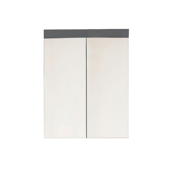 Peegelkapp AMANDA 60x17xH77cm, hall läige