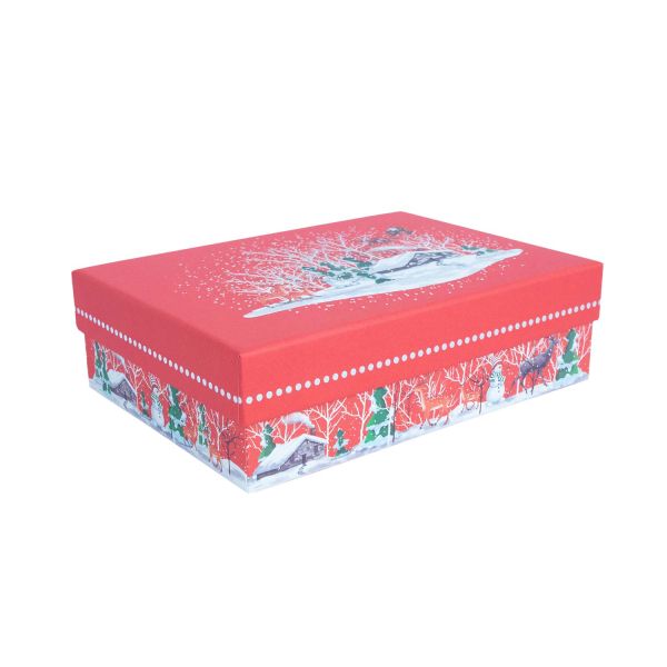 Karp NOEL 22x16cm, kaanega, mix