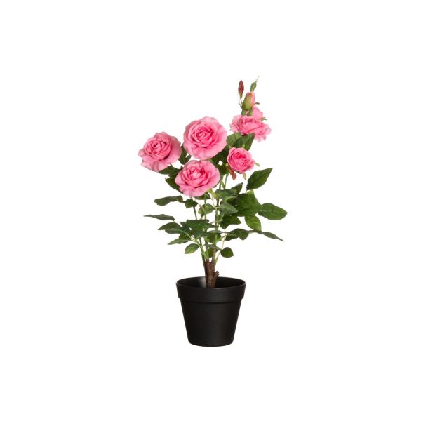 4Living Rose with big flowers in pot pink 49 cm