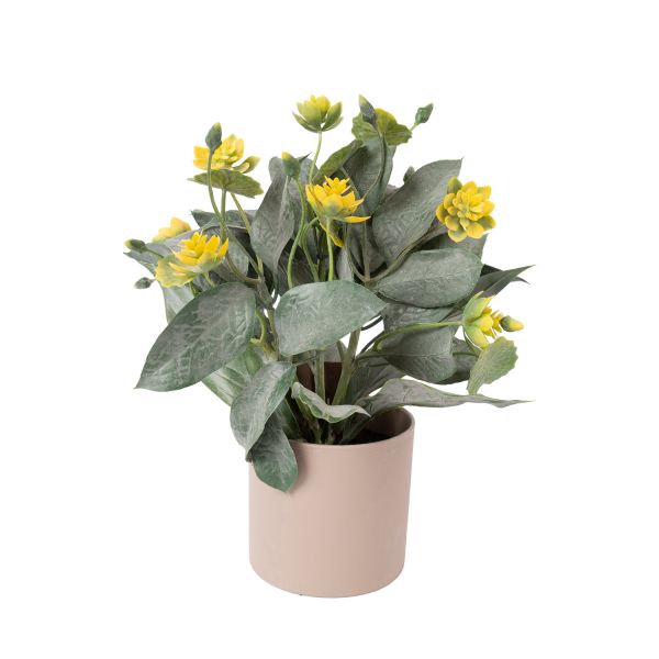 Kunsttaim GREENLAND_potis, troopiline, mix