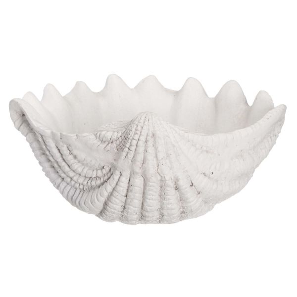 4Living Garden decoration Shell