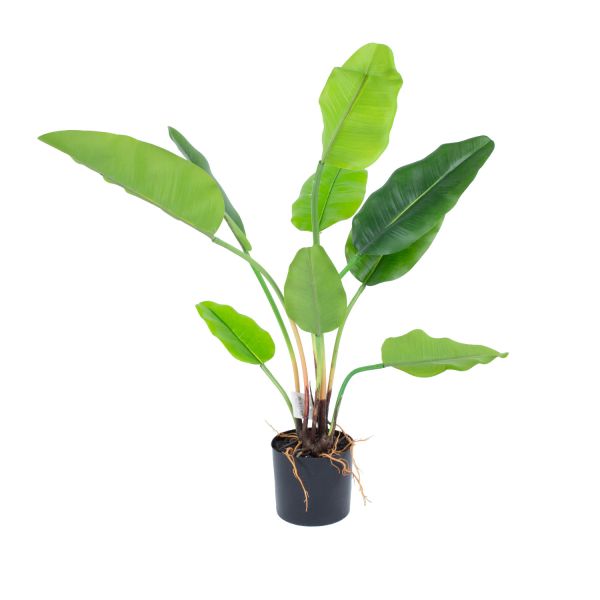Kunsttaim GREENLAND H78cm, "Strelitzia"