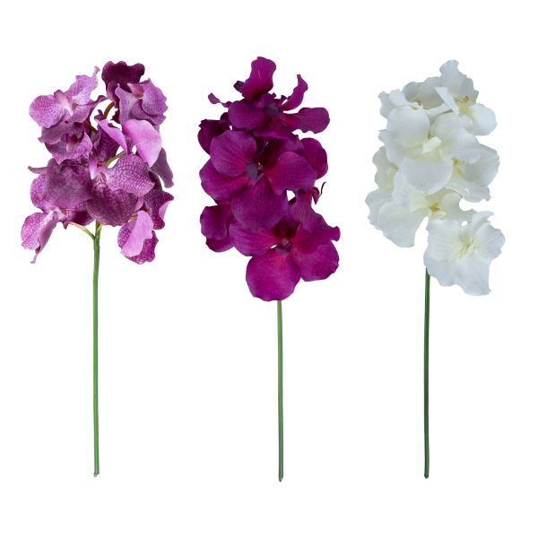 Orhidee FLOWERLY H60cm, mix