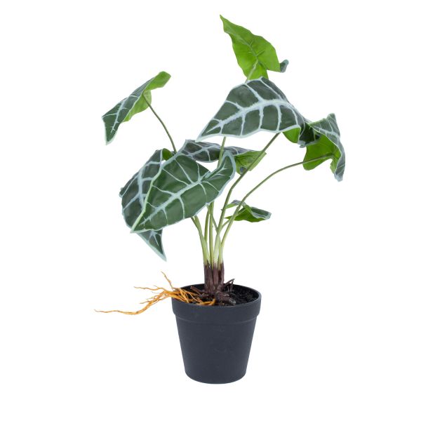 Kunsttaim GREENLAND_H40cm, "Alocasia"