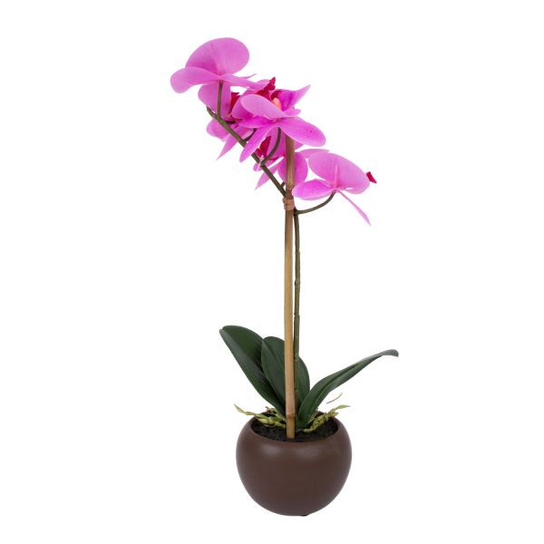 Lilla orhidee IN GARDEN H46cm