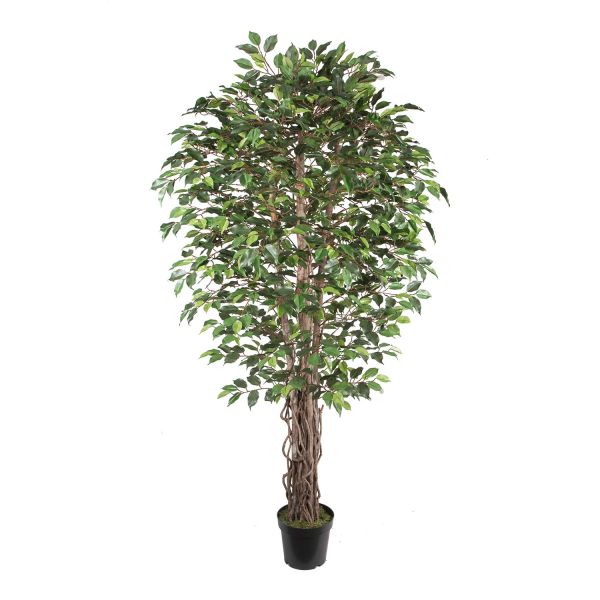 Kunstpuu WIND FICUS H210cm