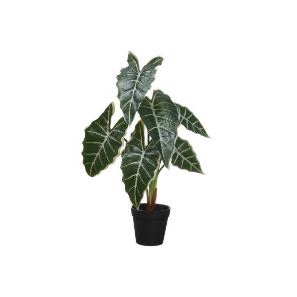 Kunsttaim 4Living Alokaasia H51cm, tume