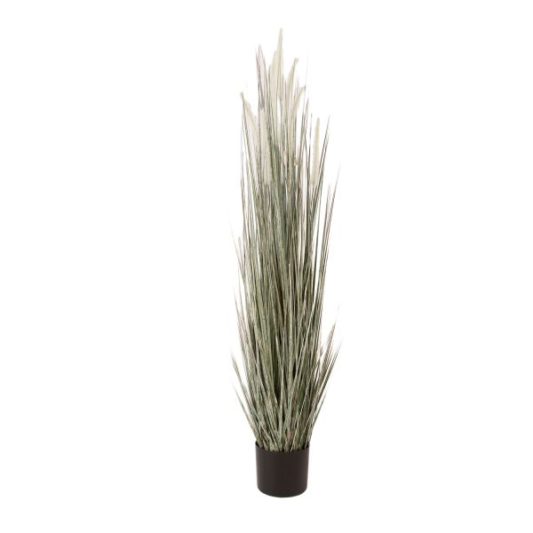 Kunsttaim GREENLAND kõrreline H120cm, potis