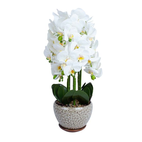 Orhidee GREENLAND H72cm hall pott, valge õis