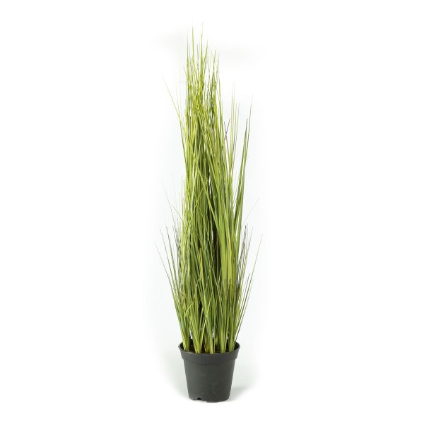 Rohukõrred potis IN GARDEN H75cm