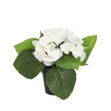 Искусственный цветок IN GARDEN H18 см, белая гортензия в горшке
