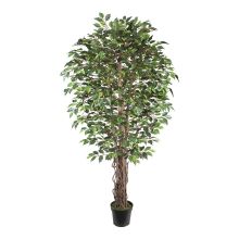 Искусственное дерево WIND FICUS H210см