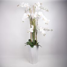 Орхидея GARDEN QUEEN H132см, белый
