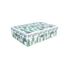 Box CLAUS 22x16cm, with a lid, mix