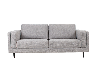 Living room furniture and furnishings